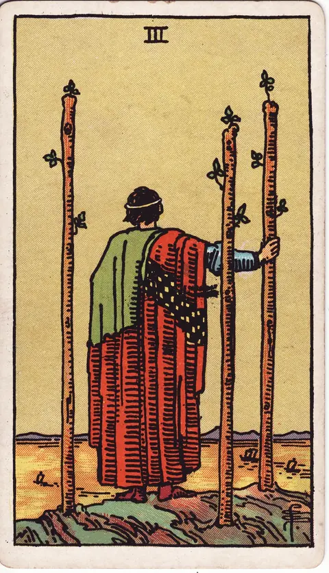A man looking over a golden sea and sailing ships with three wands planted around him