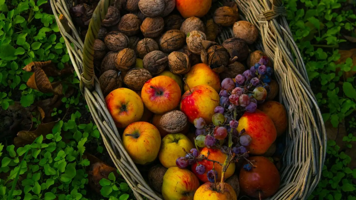 A basket of apples, walnuts and grapes rests on green foliage.