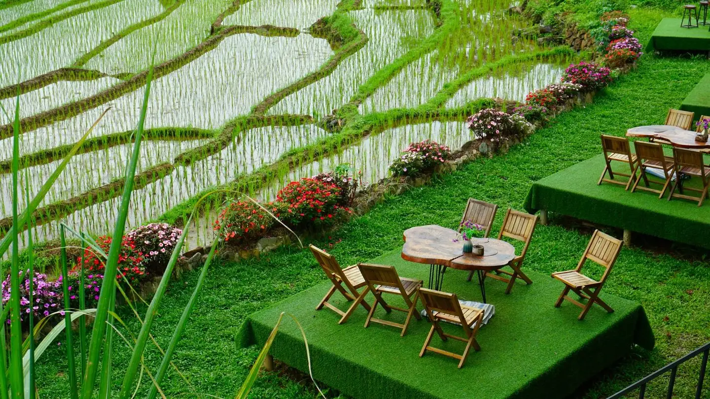 An outdoor cafe overlooks green rice fields.