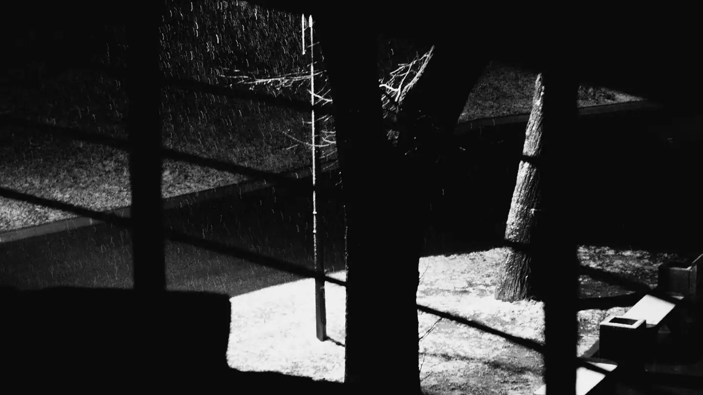 Rain and trees seen through a window in black and white.