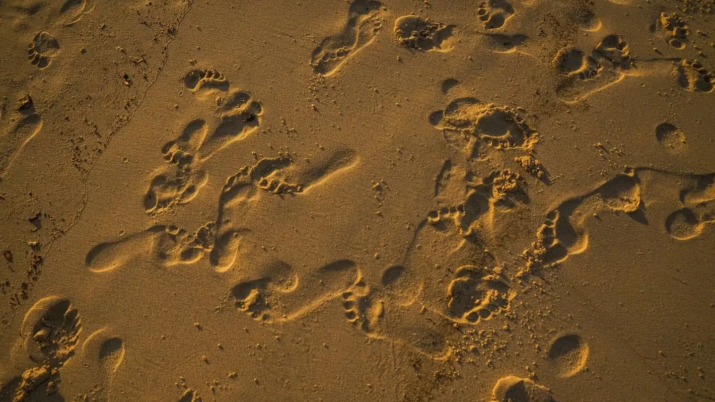 Footprints cross the sand in the evening light.