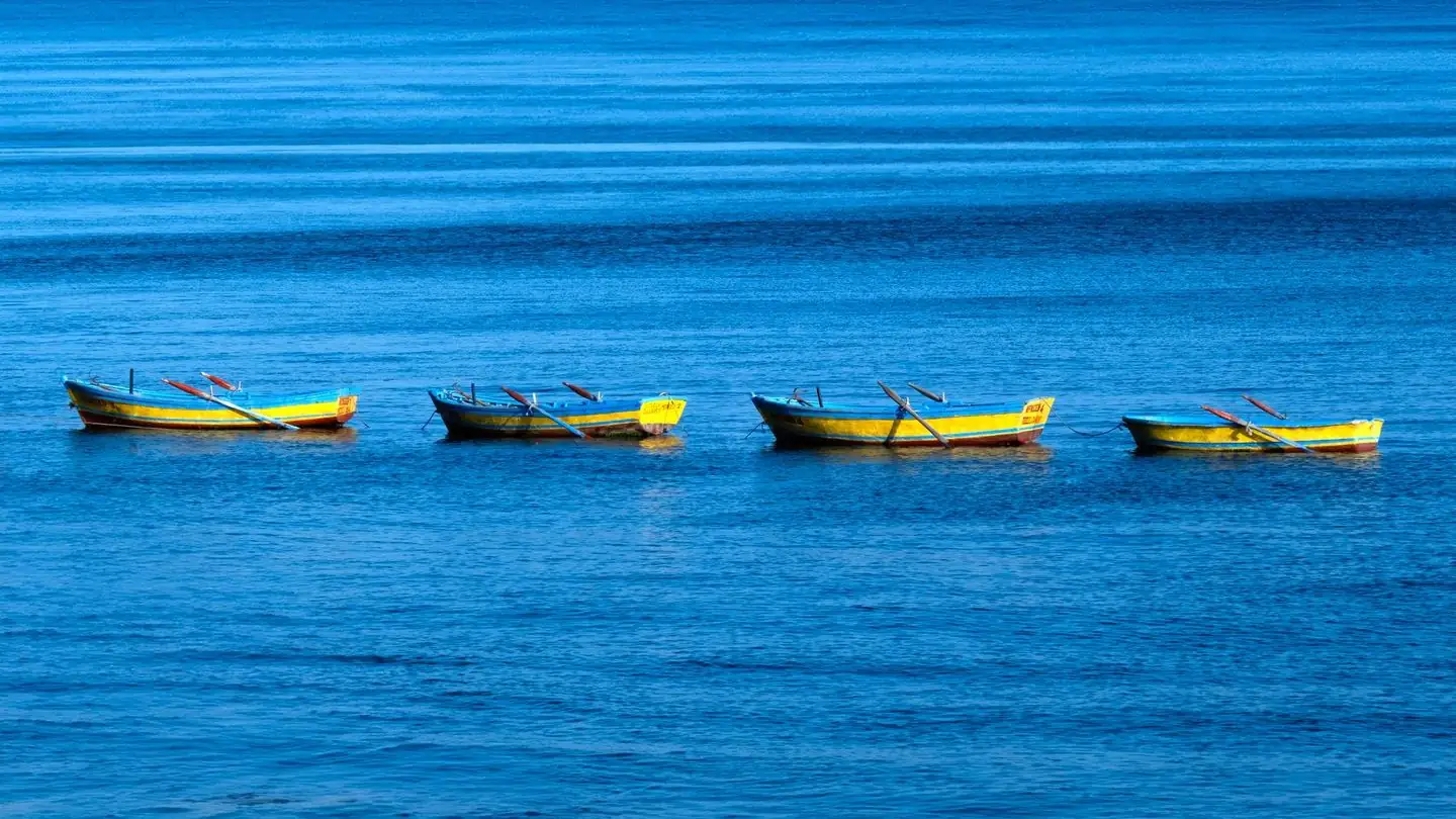 Four yellow boats rest on blue water.