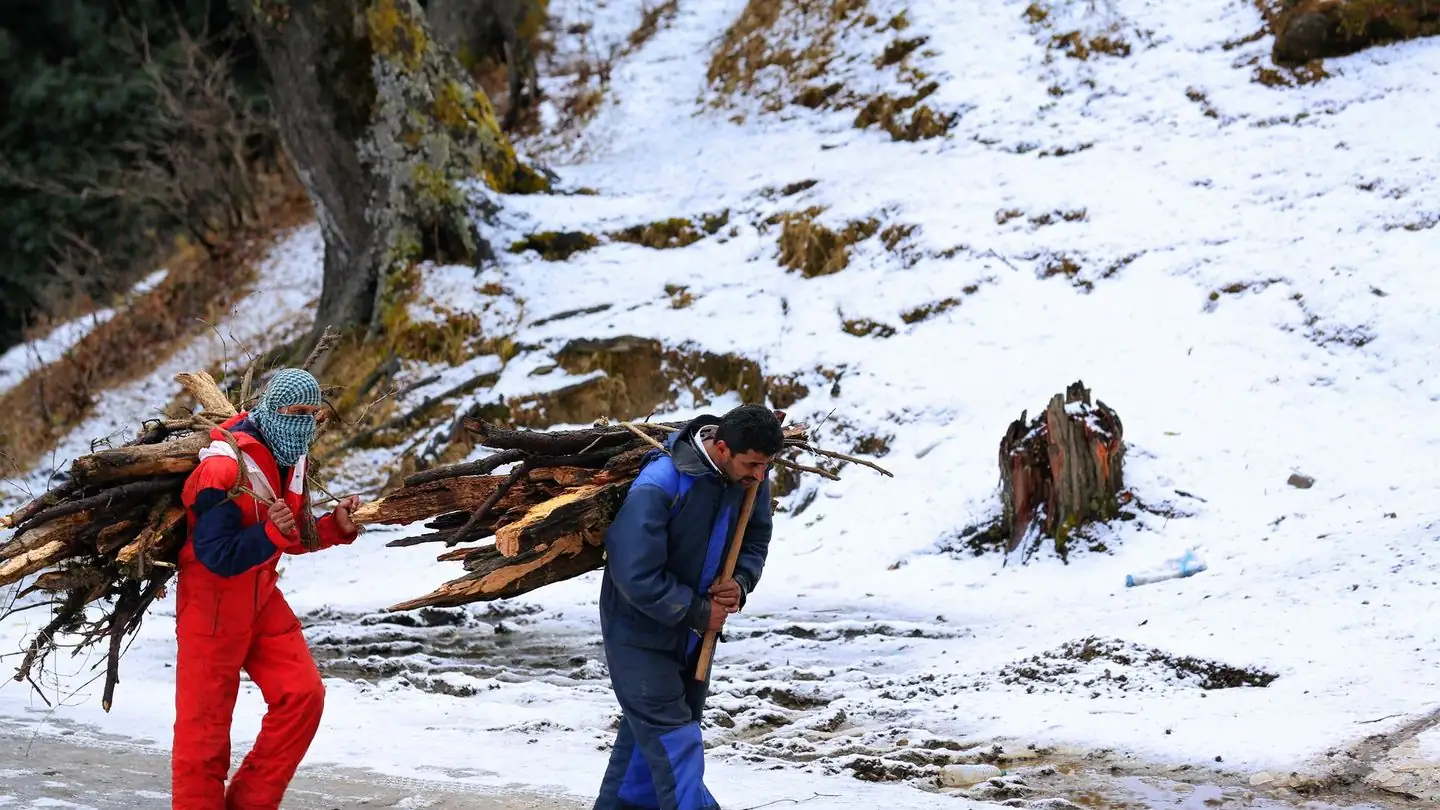 Two men carry firewood through the snow.