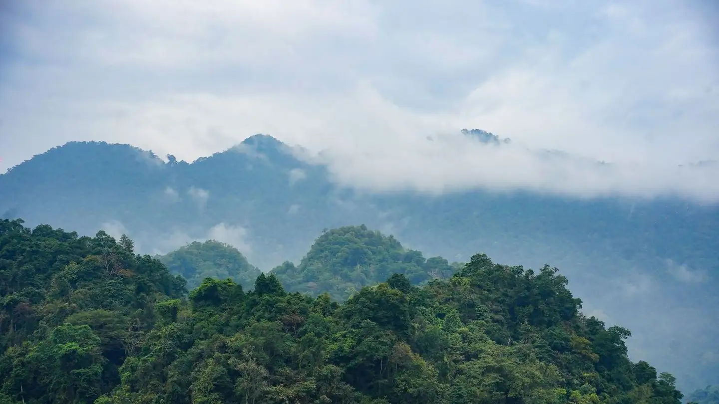 Mist drifting over a quiet forest and distant mountain slopes
