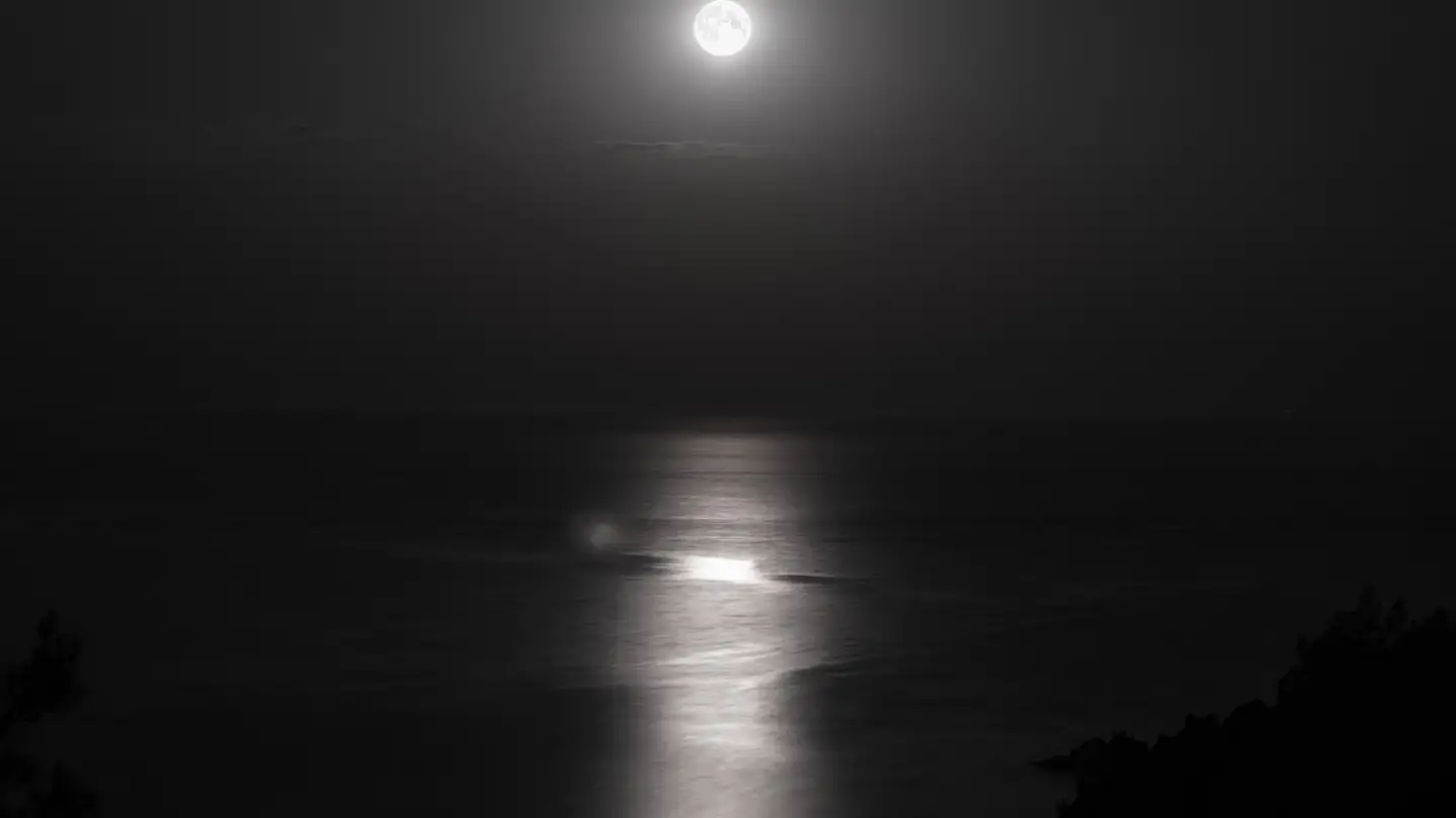 A full moon casts its reflection across the sea.