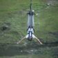 A man hanging upside down from a bungee cord